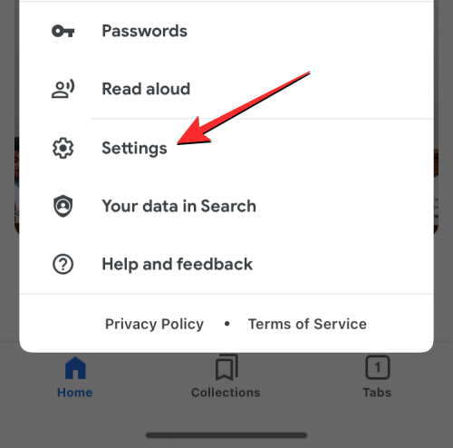 删除 iPhone 上的 cookie：分步教程