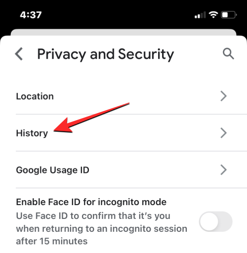 删除 iPhone 上的 cookie：分步教程