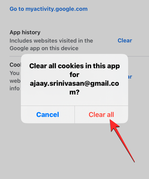 删除 iPhone 上的 cookie：分步教程