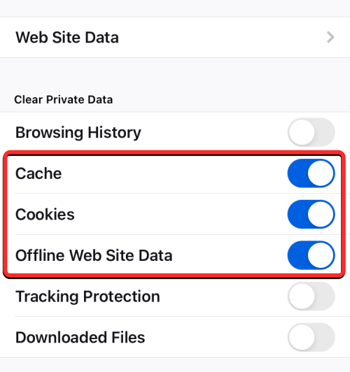 删除 iPhone 上的 cookie：分步教程