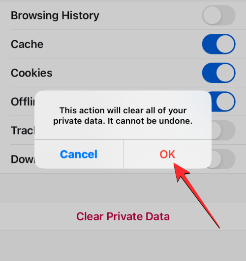 删除 iPhone 上的 cookie：分步教程