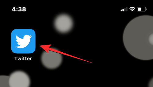 删除 iPhone 上的 cookie：分步教程