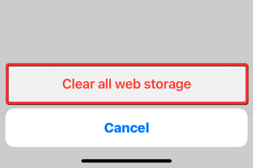 删除 iPhone 上的 cookie：分步教程