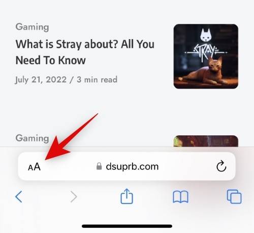 如何在 iPhone 上关闭网站的“隐藏 IP 地址”