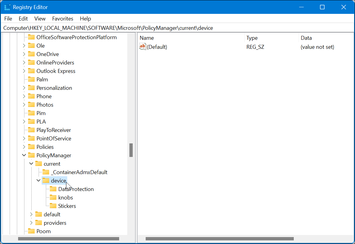如何在 Windows 11 上解锁教育主题