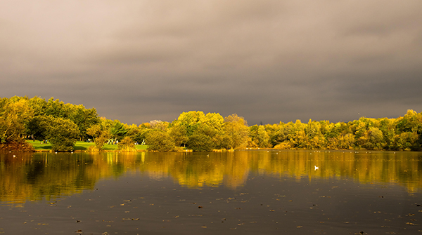 挑战不再写Python for 循环