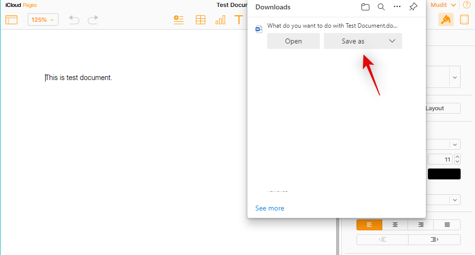 在 Windows 11 上打开 Pages 文件的 6 种方法
