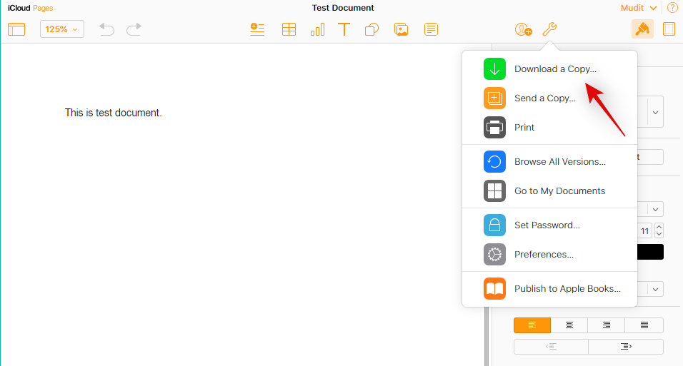 在 Windows 11 上打开 Pages 文件的 6 种方法