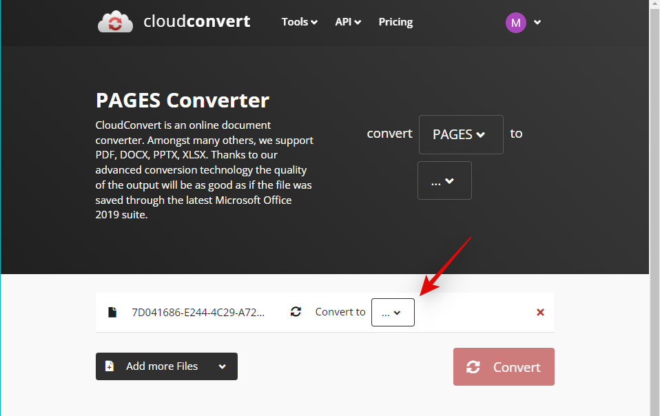在 Windows 11 上打开 Pages 文件的 6 种方法