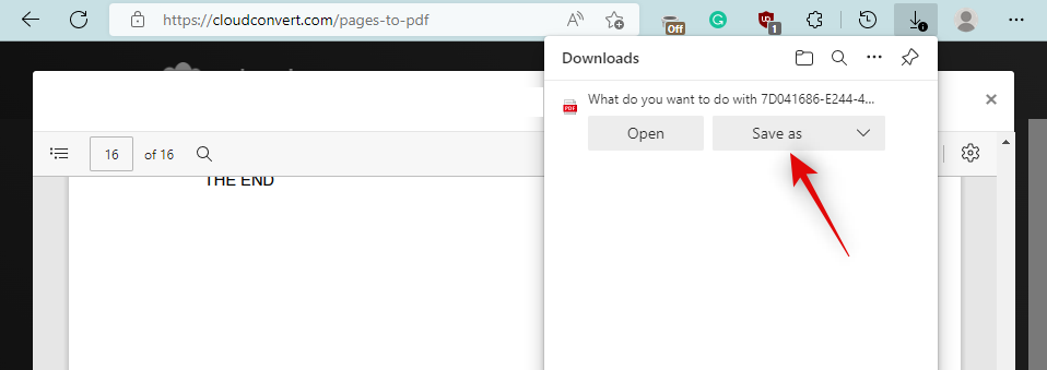 在 Windows 11 上打开 Pages 文件的 6 种方法