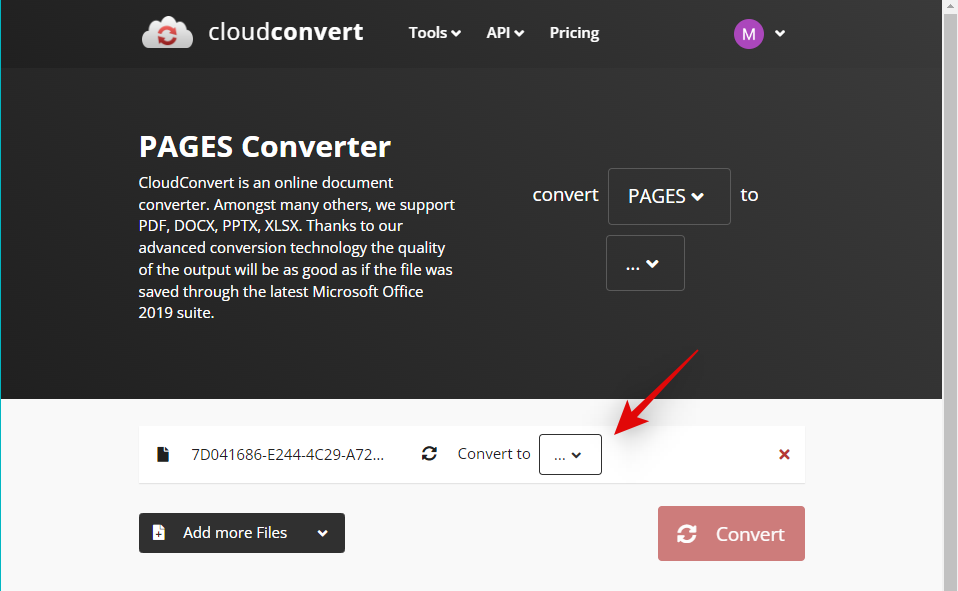 在 Windows 11 上打开 Pages 文件的 6 种方法