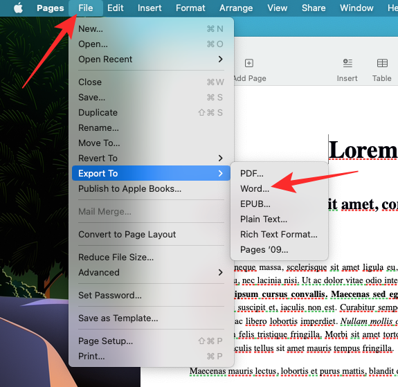 在 Windows 11 上打开 Pages 文件的 6 种方法
