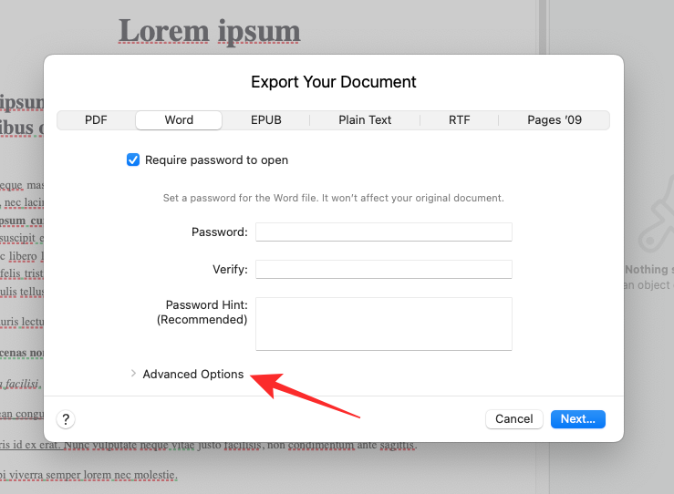 在 Windows 11 上打开 Pages 文件的 6 种方法