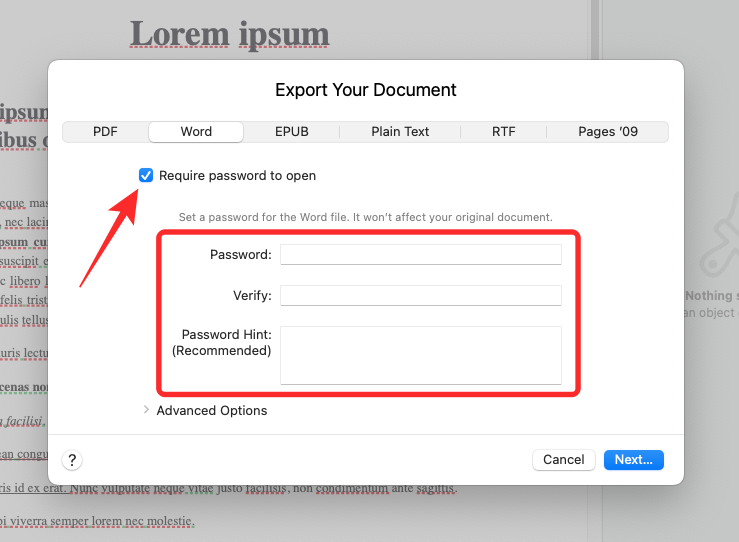 在 Windows 11 上打开 Pages 文件的 6 种方法