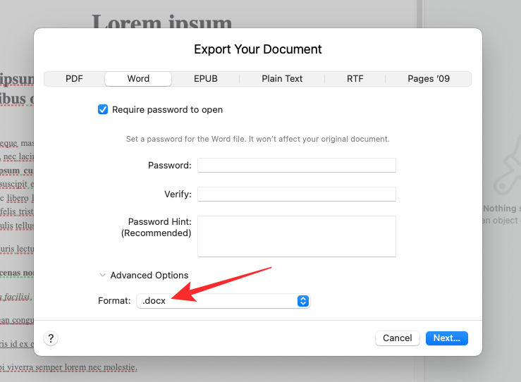 在 Windows 11 上打开 Pages 文件的 6 种方法