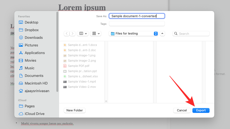 在 Windows 11 上打开 Pages 文件的 6 种方法
