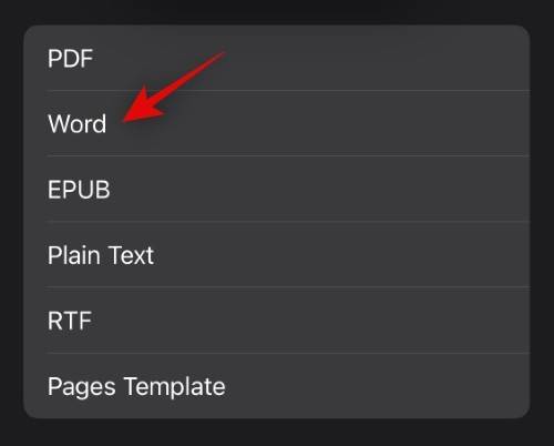 在 Windows 11 上打开 Pages 文件的 6 种方法