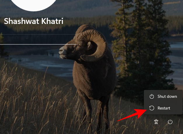如何在 Windows 11 中启动到安全模式