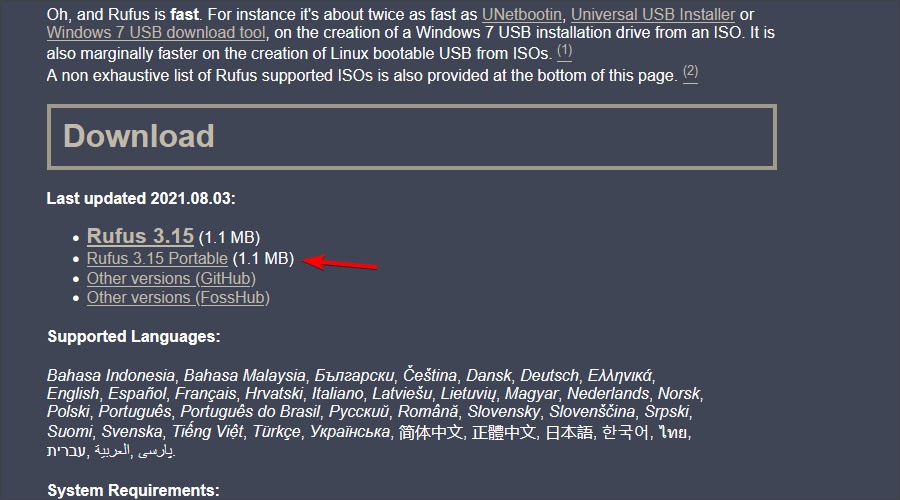 修复：在 Windows 11 上格式化时出现 Rufus 错误