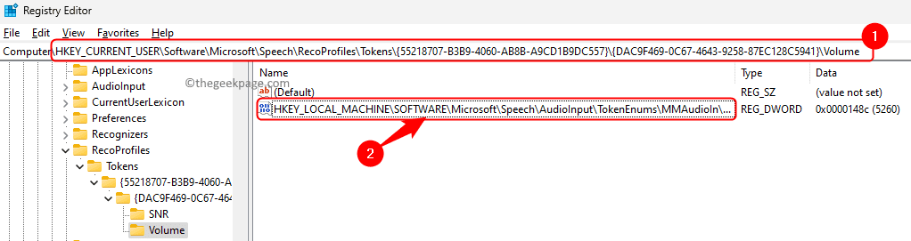 麦克风在Windows 11 / 10中自动调整自身（已解决）