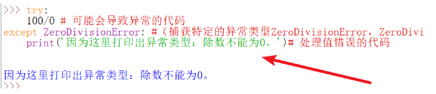 Python中如何捕获和处理异常？