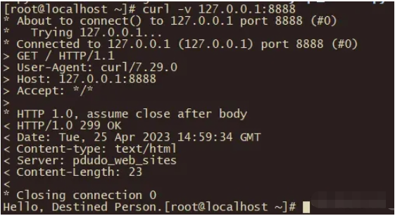 Python的WSGI应用程序原理是什么？