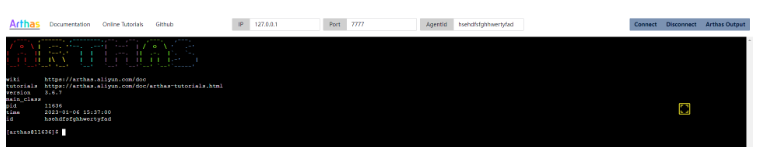 如何在Spring Boot中使用Arthas进行诊断？