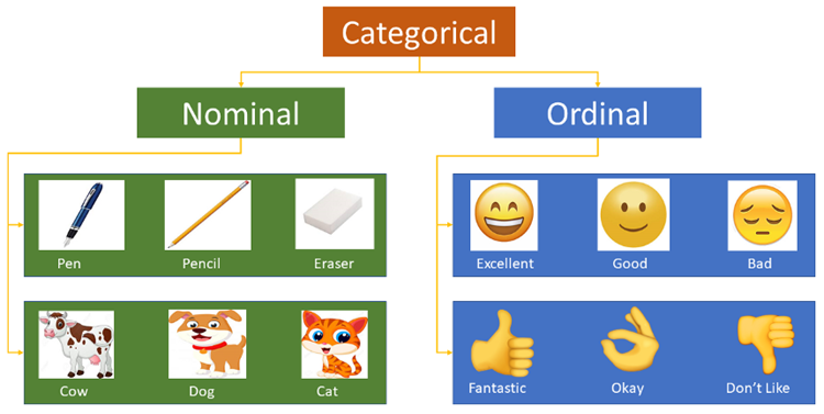 Python中针对机器学习中的类别特征，有哪些处理方法？