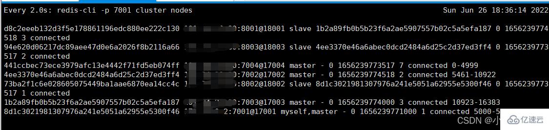 Redis分片集群怎么建立和运用