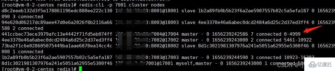 Redis分片集群怎么建立和运用
