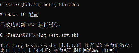 如何实现Python在无需登录的情况下进行域名解析