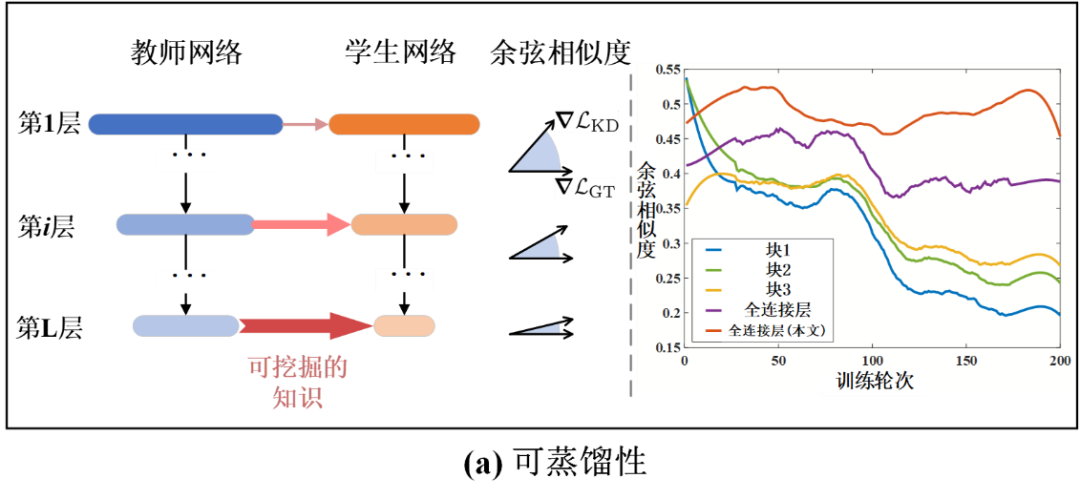 首次将「教导主任」引入模型蒸馏，大规模压缩优于24种SOTA方法