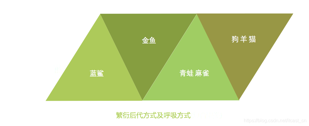 机器学习中入门级必学的算法有哪些？