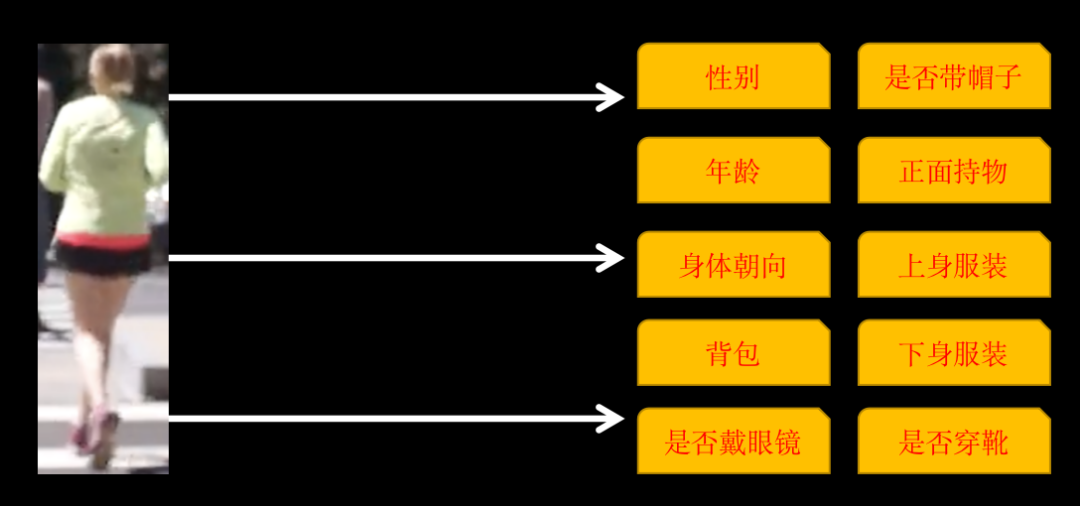 AI已经把你看得明明白白，YOLO+ByteTrack+多标签分类网络