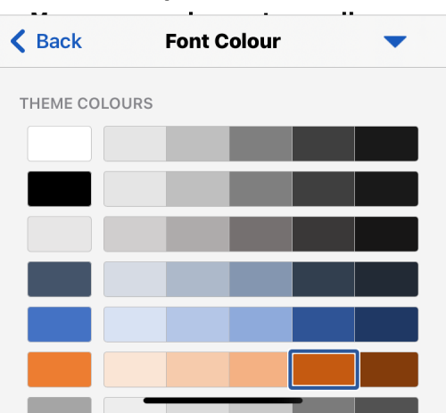 如何在 iPhone 上编辑 Word 文档