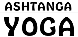 AI免费设计LOGO效果惊艳,雷军200万花早了