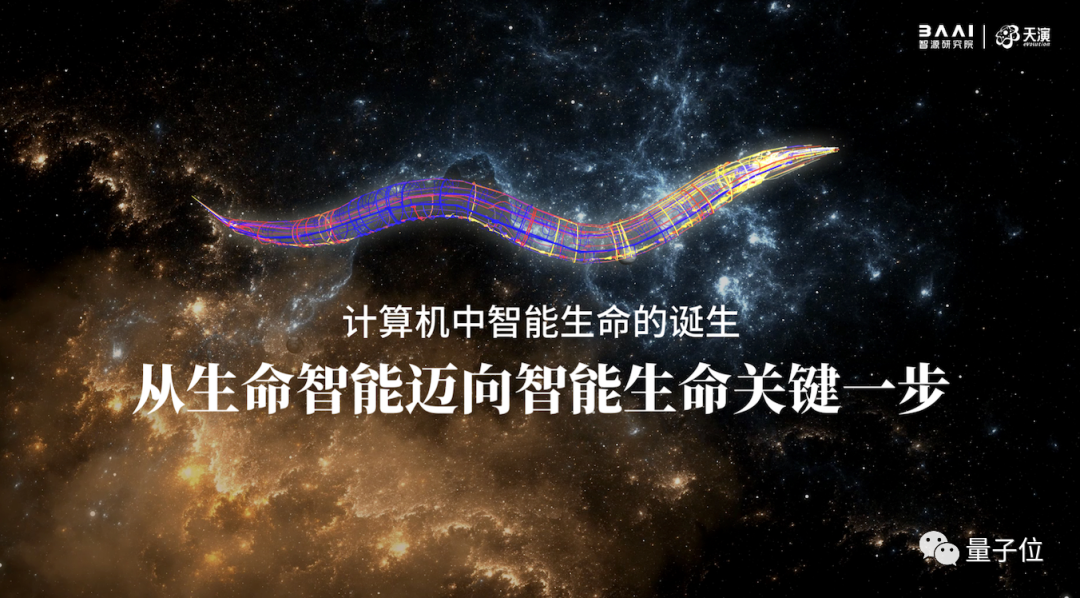 这只线虫不简单!大脑被高精度还原,可动态蠕动前行