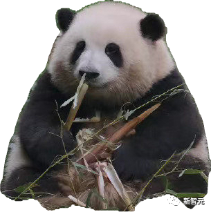 Prompt一键抠图!Meta发布史上首个图像分割基础模型,开创CV新范式