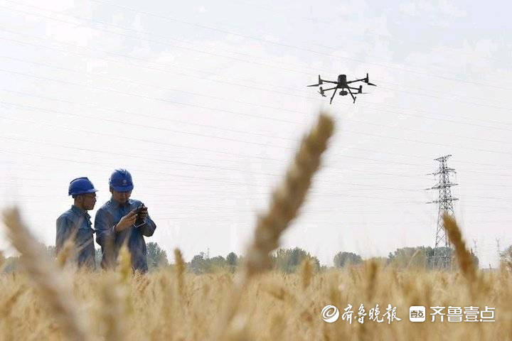 “三夏”农忙保障用电，无人机高空巡视高压线