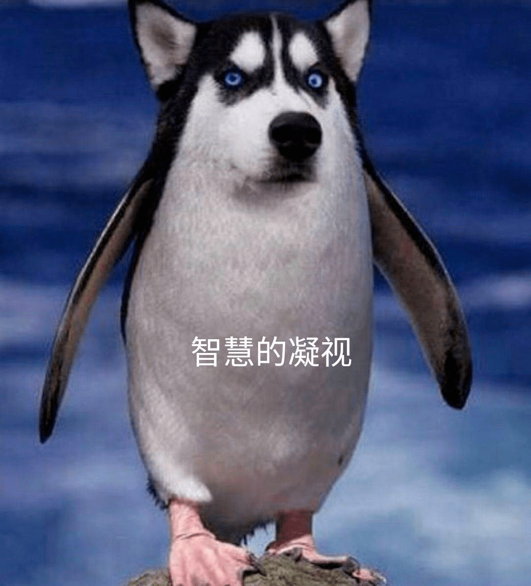 你发现没？苹果从来不提虚拟现实、AI这些词。