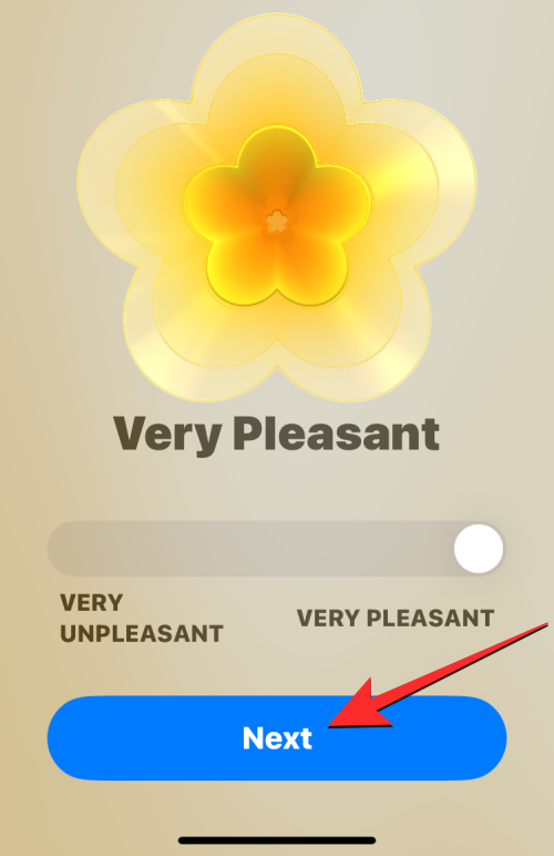 如何在装有iOS 17的iPhone上的健康应用程序上记录您的心态
