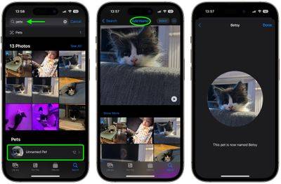如何在照片中使用宠物识别功能为宠物命名：iOS 17指南