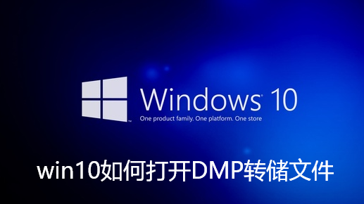 win10如何打开DMP转储文件