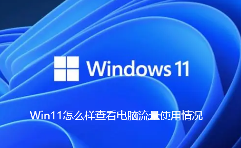 Win11怎么样查看电脑流量使用情况