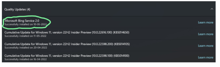 win10/11BingService2.0升级是啥win10/11BingService2.0升级內容详细介绍