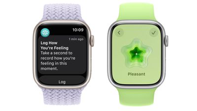 如何使用苹果健康来追踪您的情绪 - iOS 17