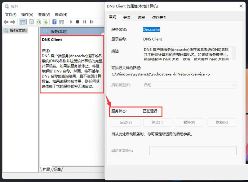 Win11电脑dns异常怎么修复
