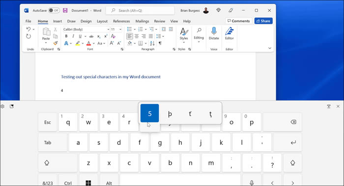 Win11特殊字符如何输入