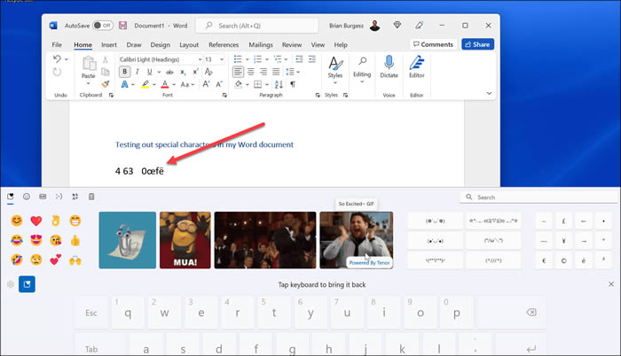 Win11特殊字符如何输入