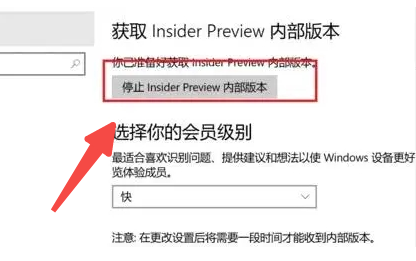 win11预览体验计划退出不了